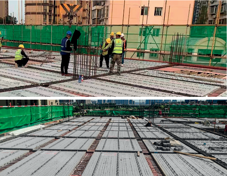 TAIBAO  HOMELANDD 太保家园